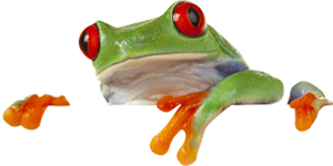 Advanced Hydroponics of Holland – mascot frog